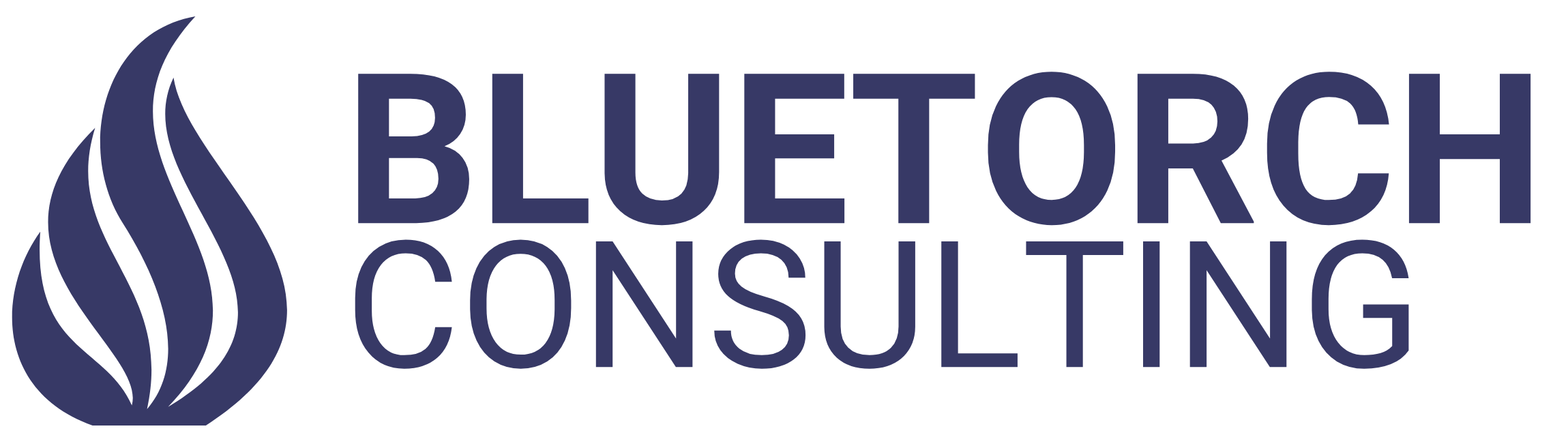 Bluetorch Consulting Logo - Full - Wide - Blue on White